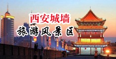 好粗好长好大插逼好爽视频中国陕西-西安城墙旅游风景区